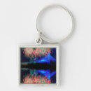 Search for suspension bridge keychains Colour image