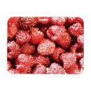 Search for raspberry magnets Fruit