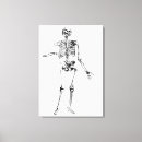 Search for andreas art Anatomy