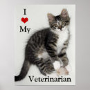 Search for veterinarian posters Cat photography