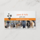 Recherche de garde de chiot cartes visite Animal