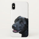Search for labrador iphone cases Puppy