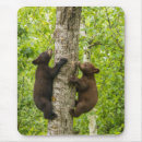 Search for cathy mousepads Forest
