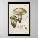 Search for mushroom art Brown