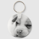 Search for pit keychains Animal