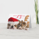 Search for adorable dog cards Animal