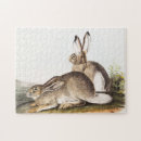 Search for hare puzzles Vintage
