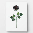 Recherche de rose noir plaques Gothique
