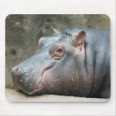 Recherche de hippopotame tapis souris Animaux