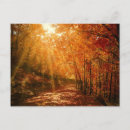 Search for autumn tree postcards Photography