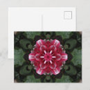 Recherche de fleurs rouges et blanches cartes postales Botanique
