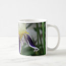 Recherche de iris jaunes tasses Violet