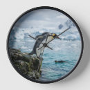 Recherche de pingouins horloges Glace