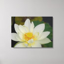 Search for lillies canvas prints Water