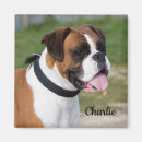 Search for boxer dog magnets Dogs