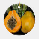 Search for gecko ornaments Tropical