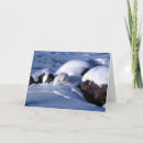 Search for arctic christmas cards Wild