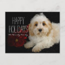 Search for people christmas cards Domestic animals