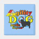 Search for agility magnets Aussie