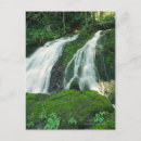 Recherche de mousseux cartes postales Vert