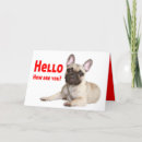 Search for funny hello cards Pet