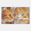Search for cat fish stickers Funny