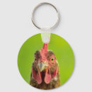 Search for chicken keychains Animal