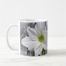 Recherche de amaryllis tasses Nature