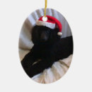 Recherche de caniche standard ornements Noël