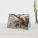 Recherche de orange chat tigré vœux cartes Animaux