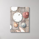 Search for seashells sea shells canvas prints Conch shell