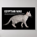 Search for egyptian cat posters Pet