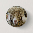 Search for goat buttons Animals