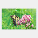 Search for tiger swallowtail butterfly stickers Insect