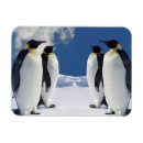 Recherche de oiseau refrigérateur magnets Maison