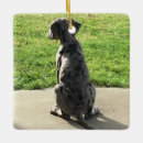Search for great dane ornaments Puppy