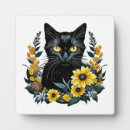 Recherche de joli chat plaques Noir