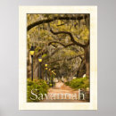 Search for oak tree posters Park
