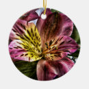 Recherche de fleur de lis ornements Floral
