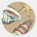 Recherche de megan stickers Étoile