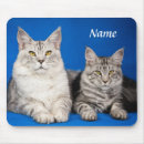 Recherche de femme chat tapis souris Félin