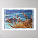 Search for monterey posters Ocean