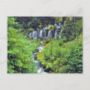 Recherche de adam cartes postales Nature