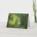 Search for rush cards Floral