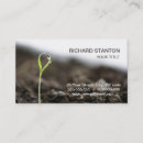 Search for young business cards Plant