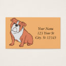 Recherche de mini mastiff Dogs