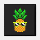 Search for gamming magnets Pixel
