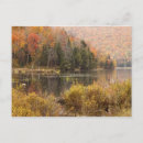 Search for vermont autumn postcards Orange
