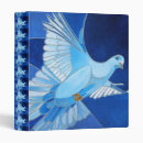 Search for outline binders Blue