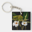 Search for orchids pictures keychains Hybrid orchid